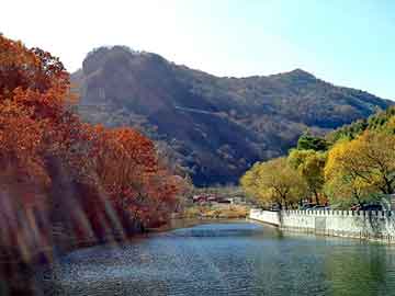 新澳天天开奖资料大全旅游团，网游三国之战神